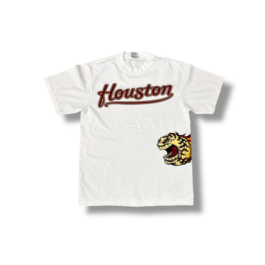 HOU BASEBALL 935691
